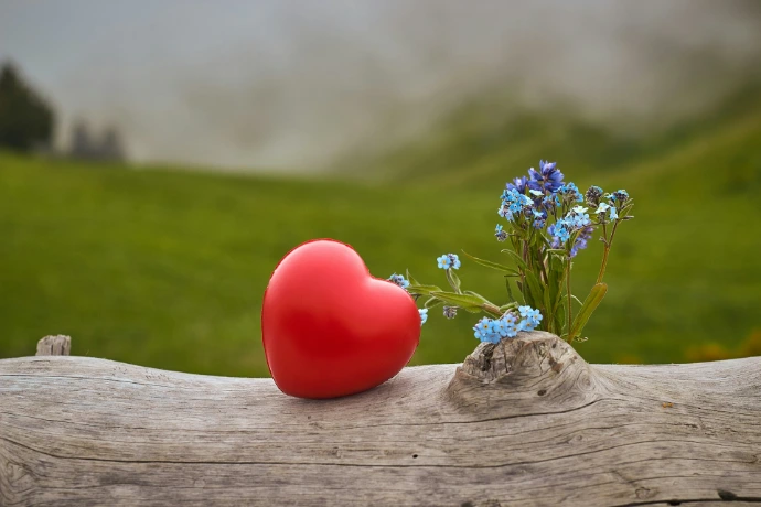 a red apple on a wooden surface